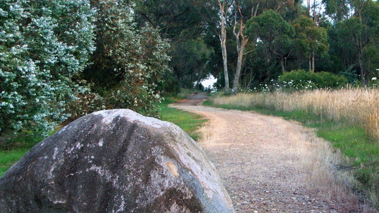 Mount Mutton Walking Trail