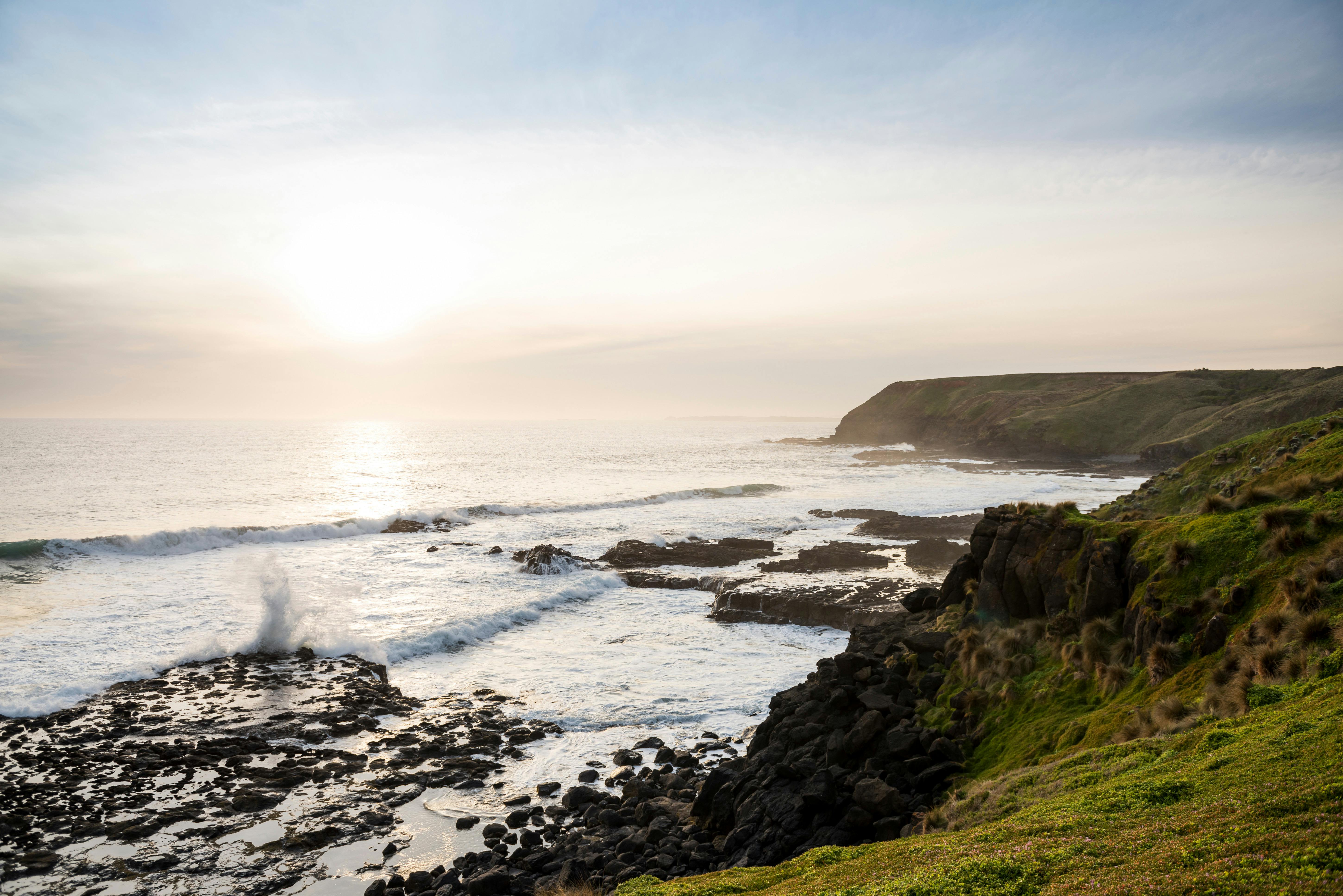 Phillip Island Tour