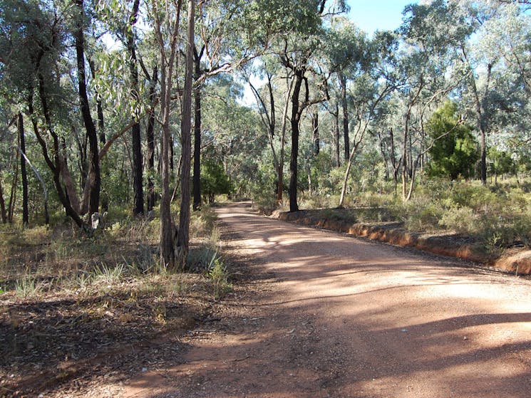 Depot Road, near Tuan Track