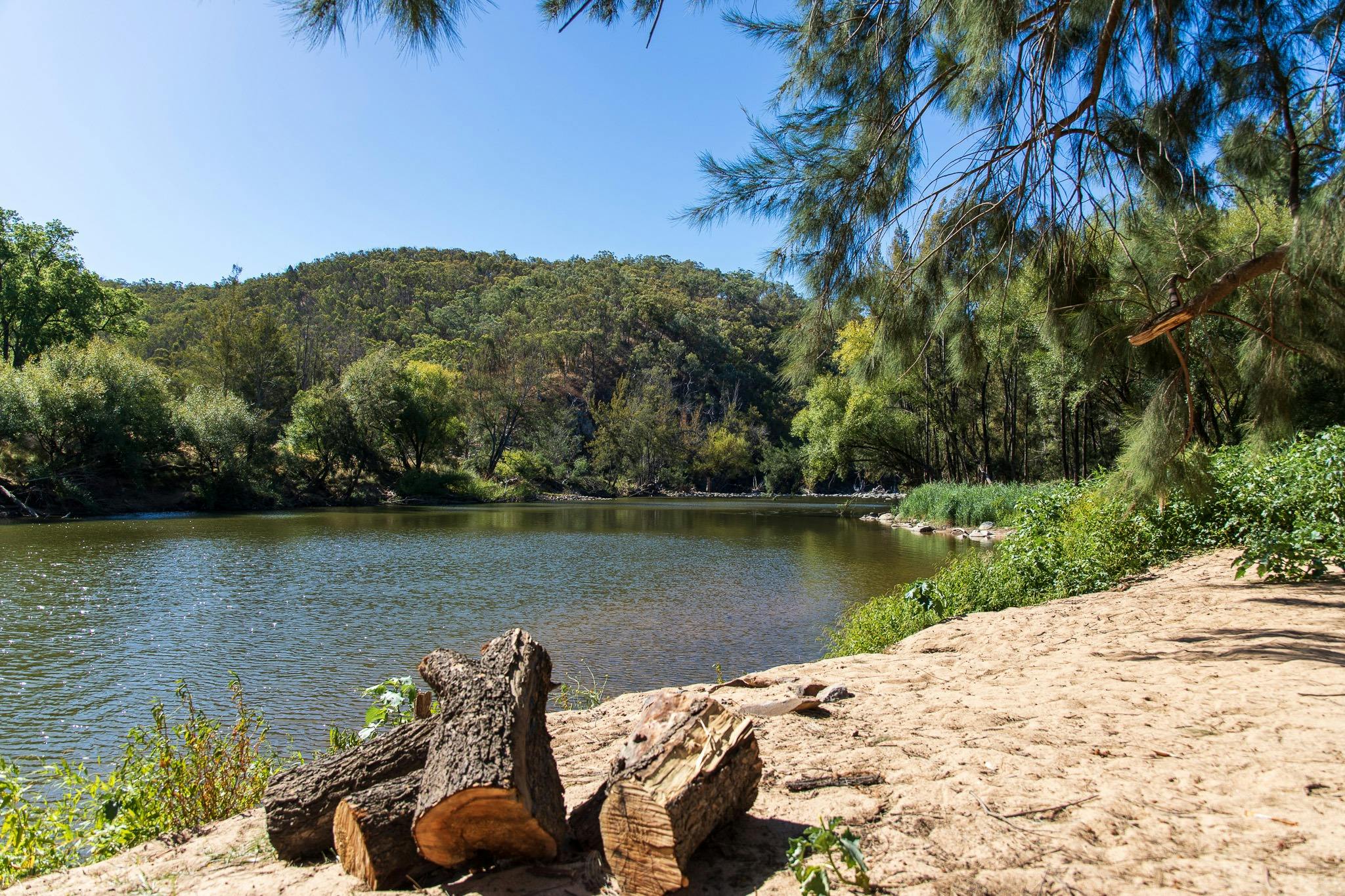 Fire wood next to the Macquarie river, Bridle Track.