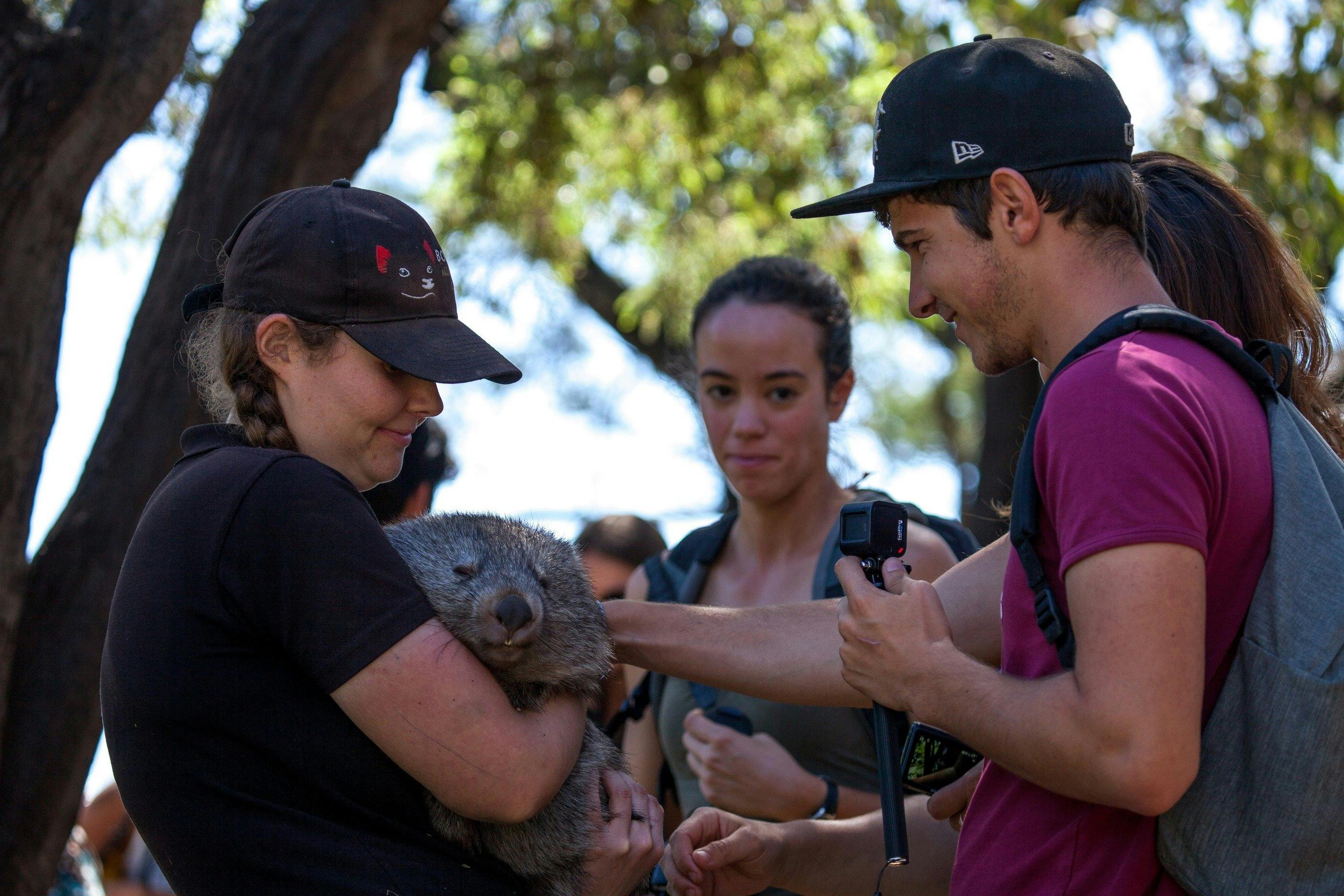 Bonorong Wildlife Sanctury