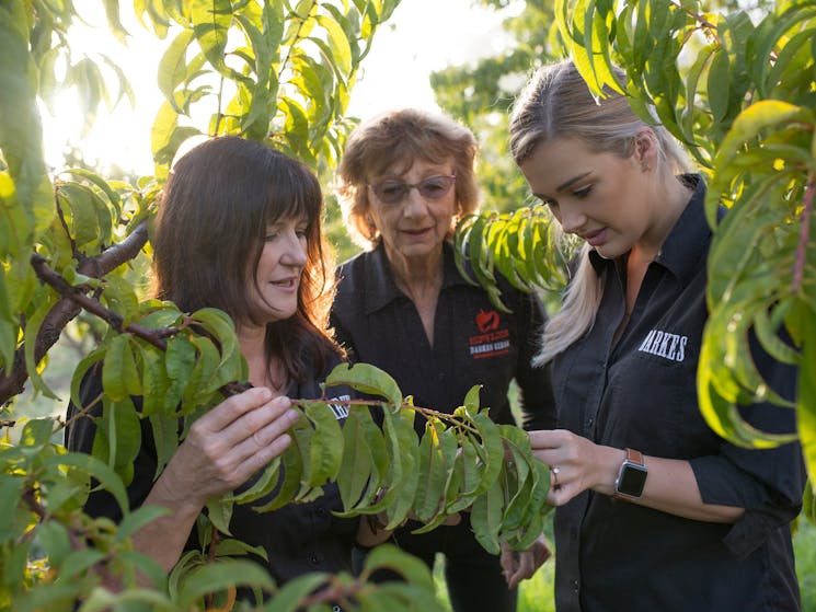 3 generations of farming Women inspect the crop
