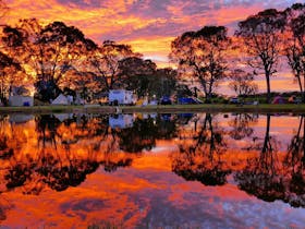 Coonawarra Sunset