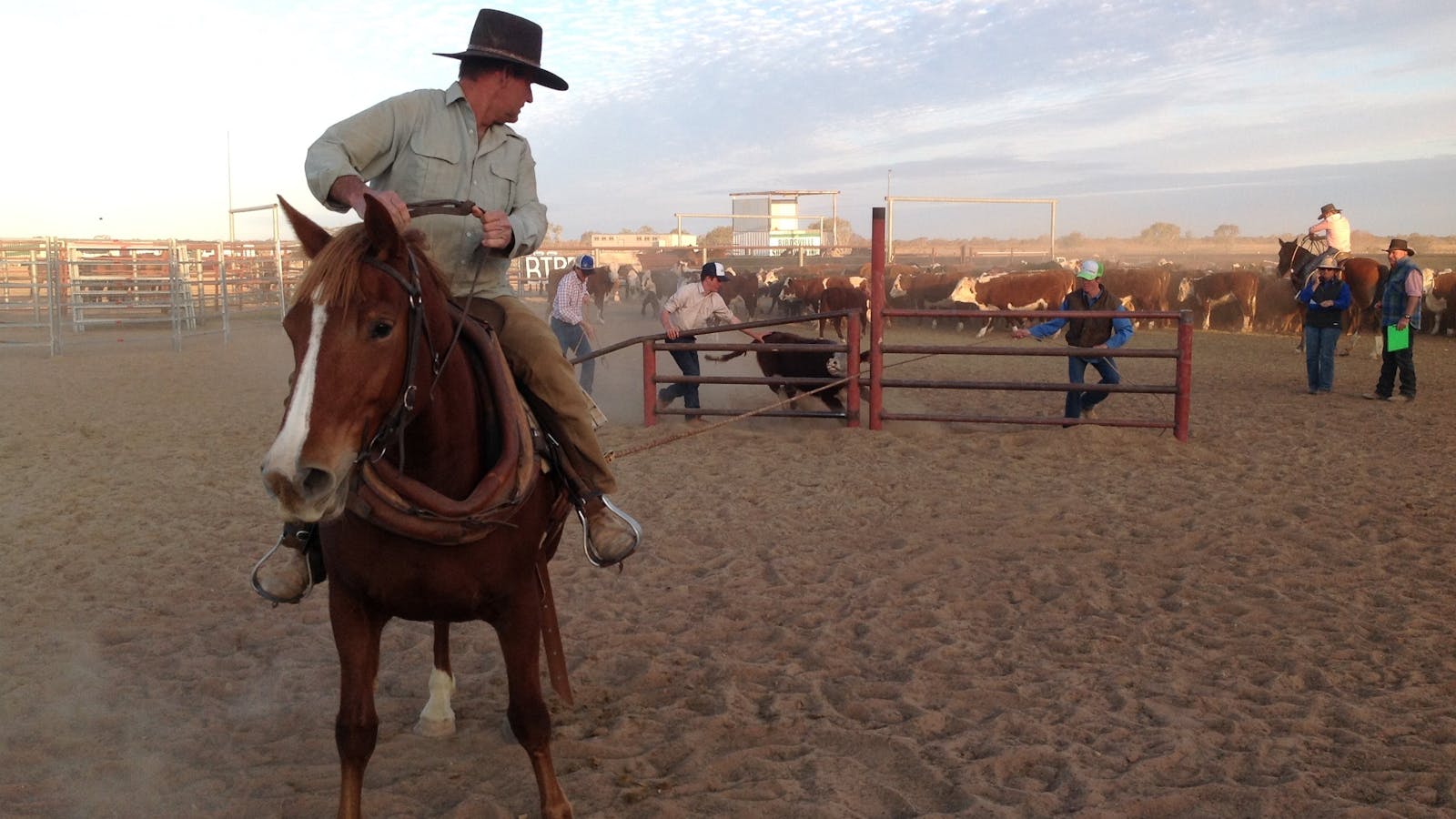 Birdsville Campdraft,  Rodeo and Bronco Branding