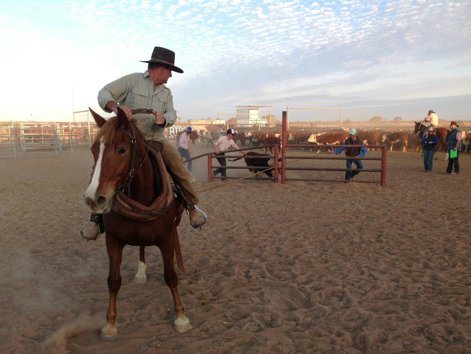 Birdsville Campdraft,  Rodeo and Bronco Branding — photo 2 of 3