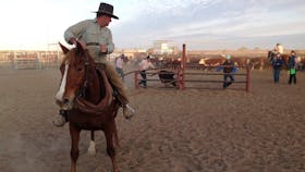 Birdsville Campdraft,  Rodeo and Bronco Branding