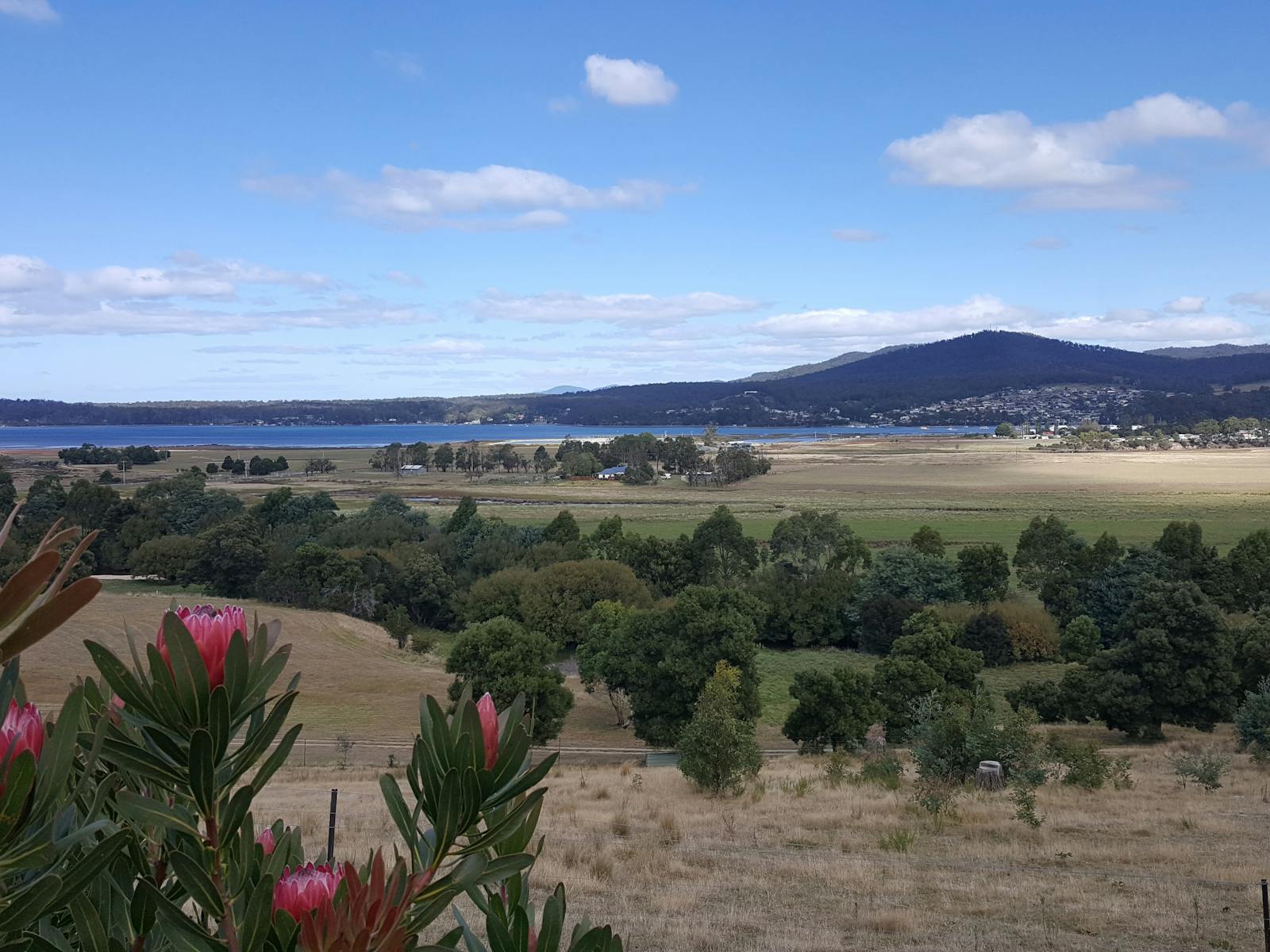 Property & Surrounds