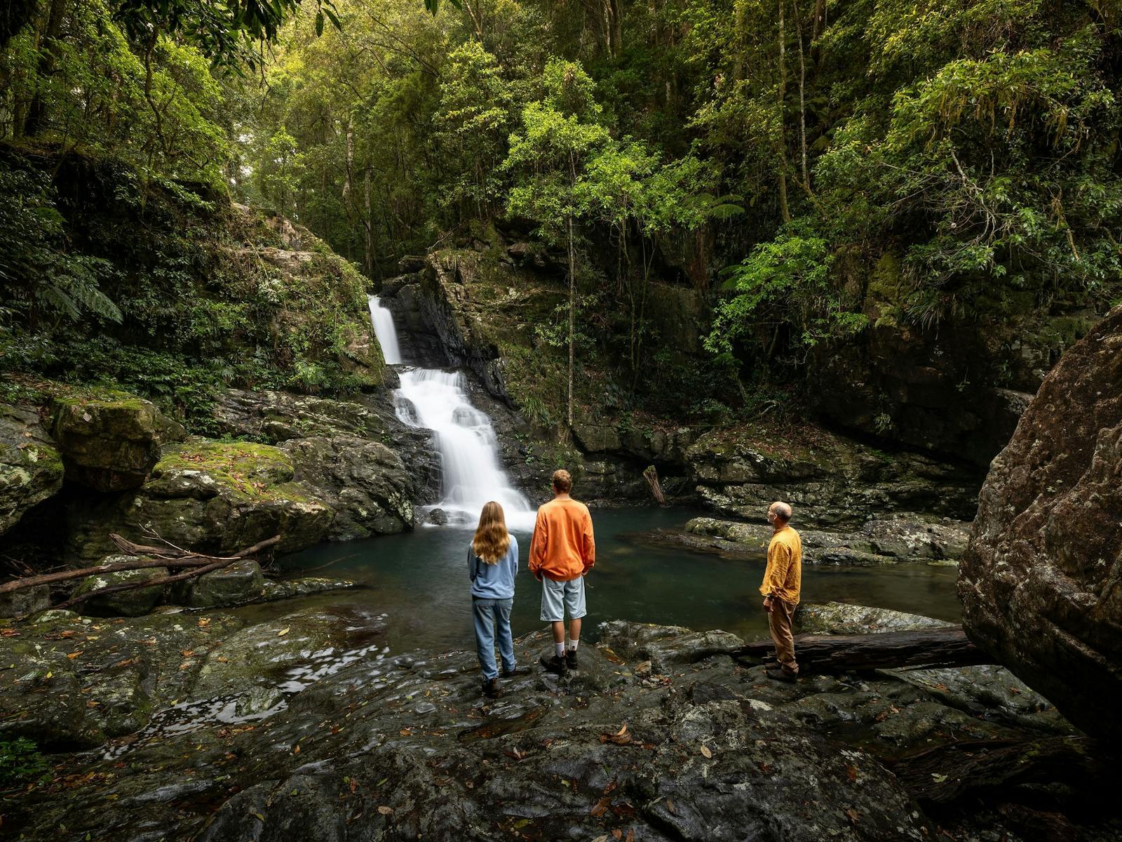 Coachwood falls