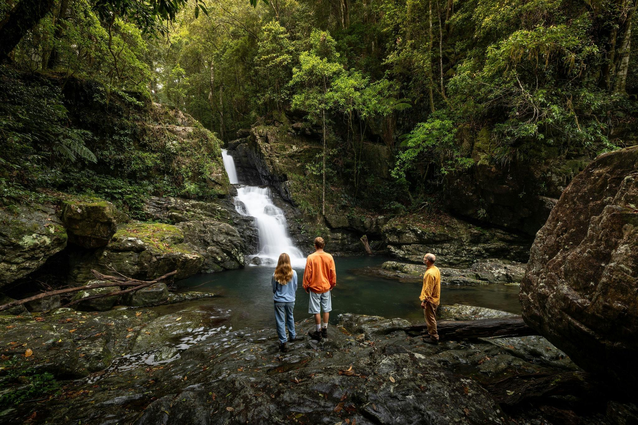 Dorrigo