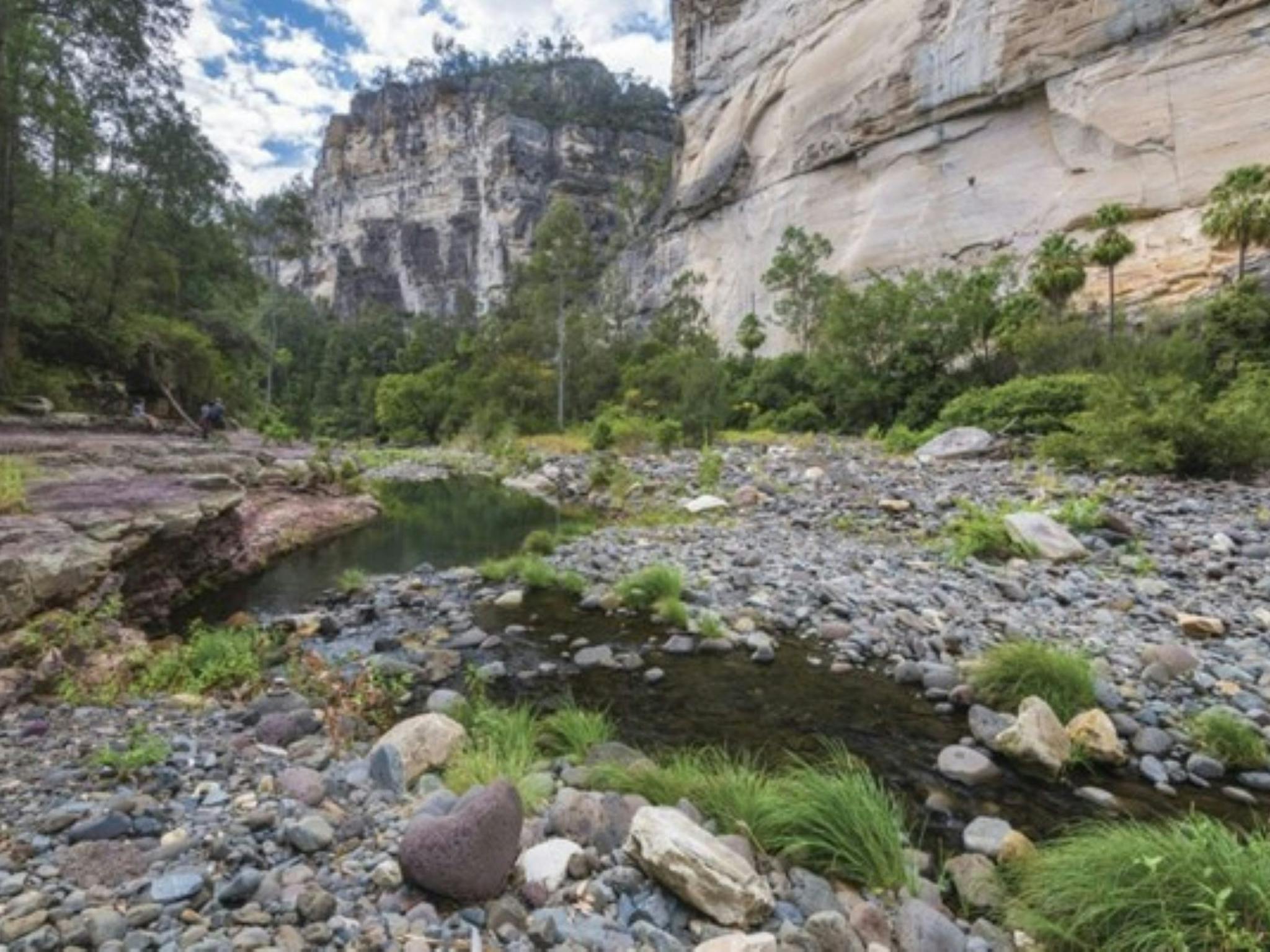 Carnarvon Gorge Carnarvon Gorge