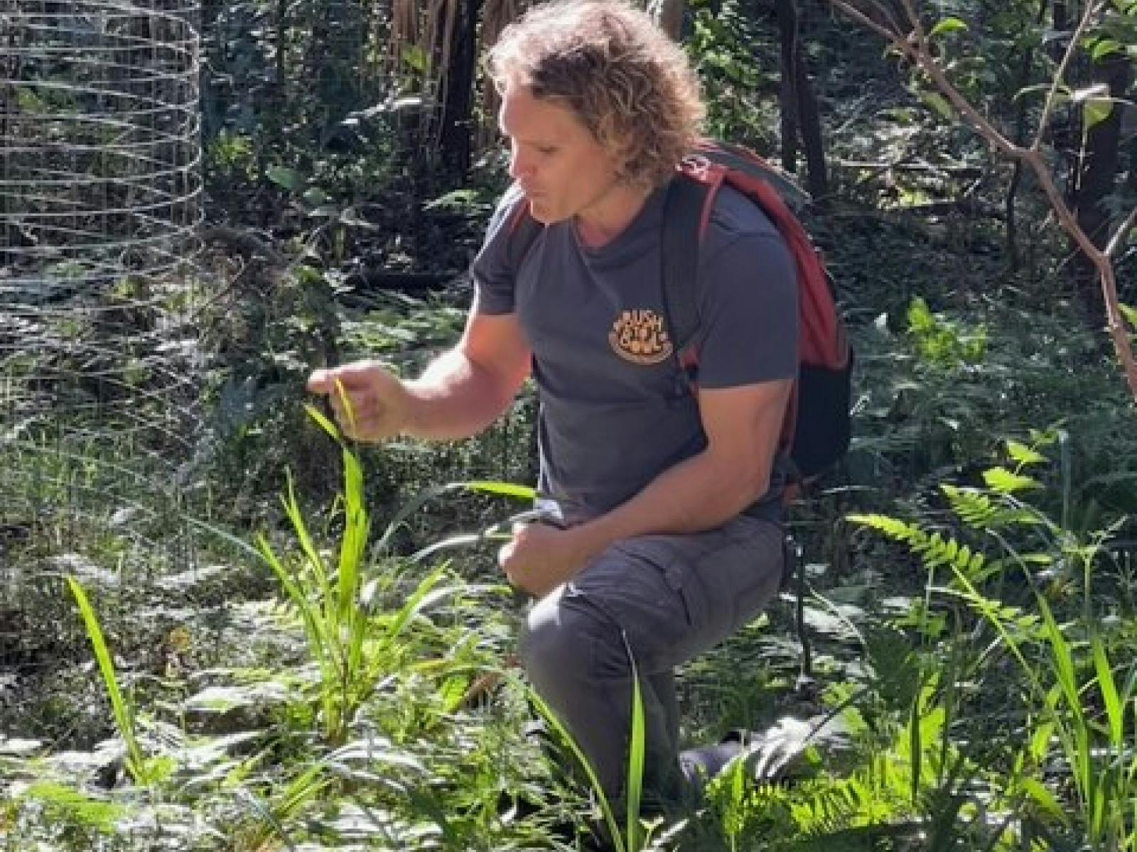 Man exploring native plants
