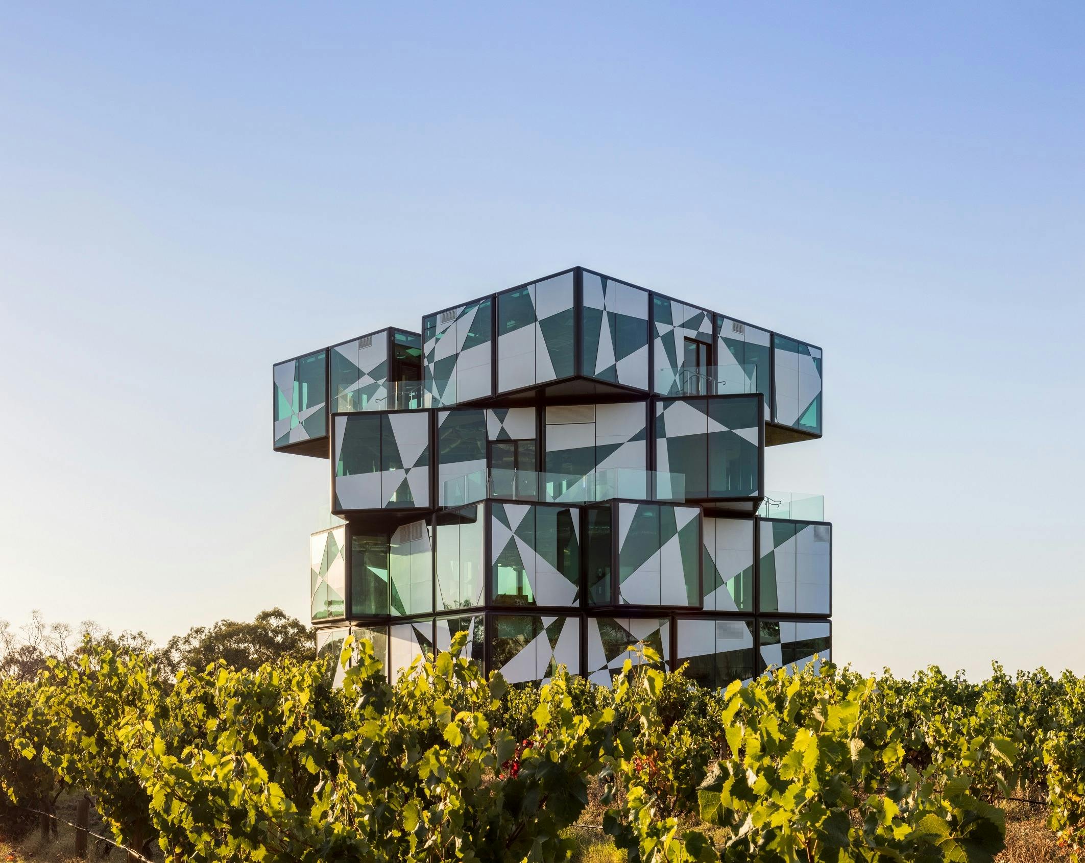 d'Arenberg Cube standing amongst the vineyards