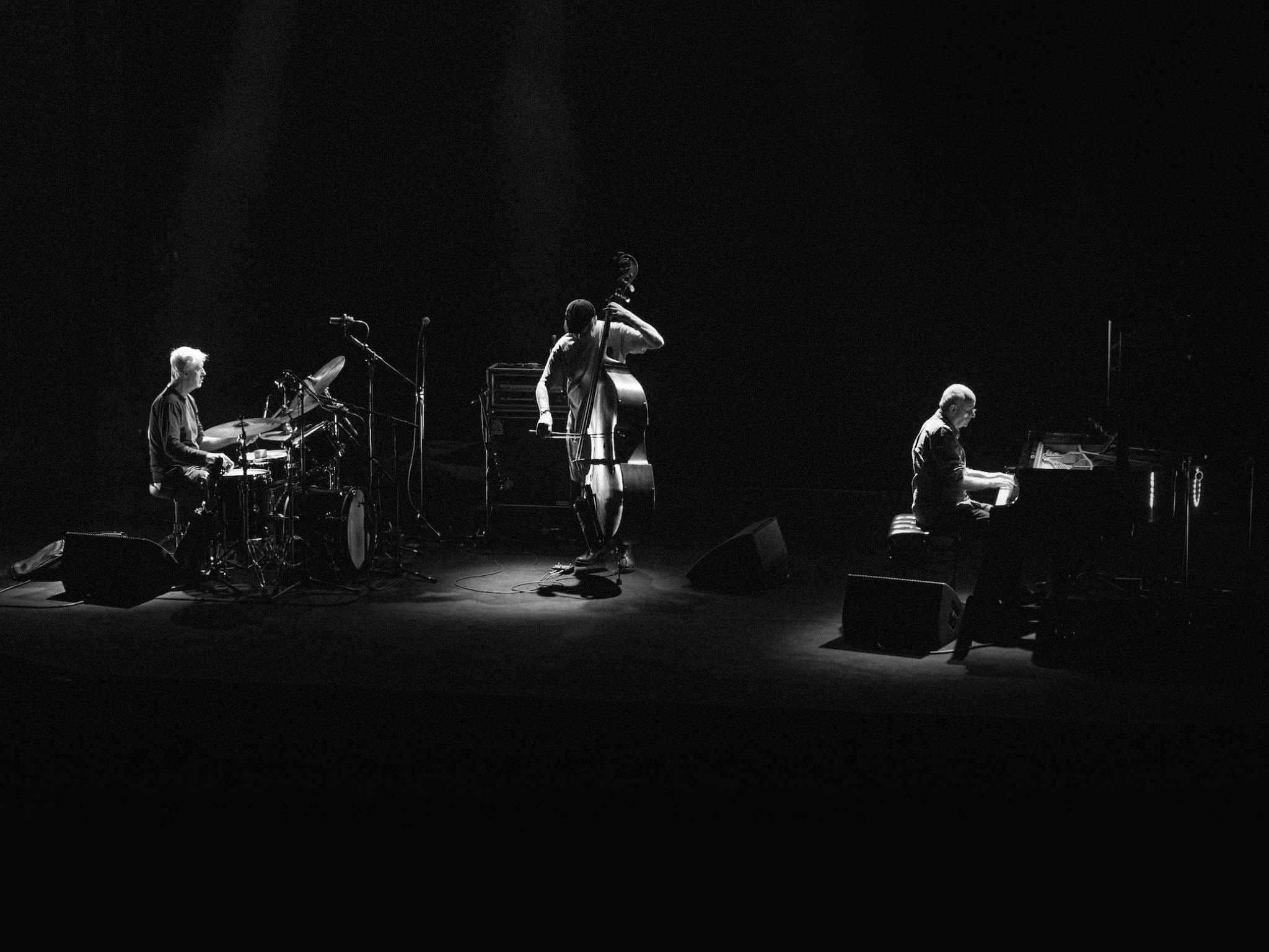 The Necks
