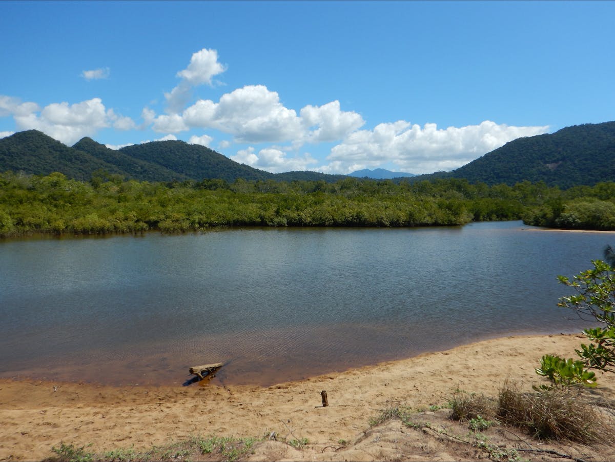 Estuary with mangroves and mountains in background.