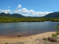 Estuary with mangroves and mountains in background.