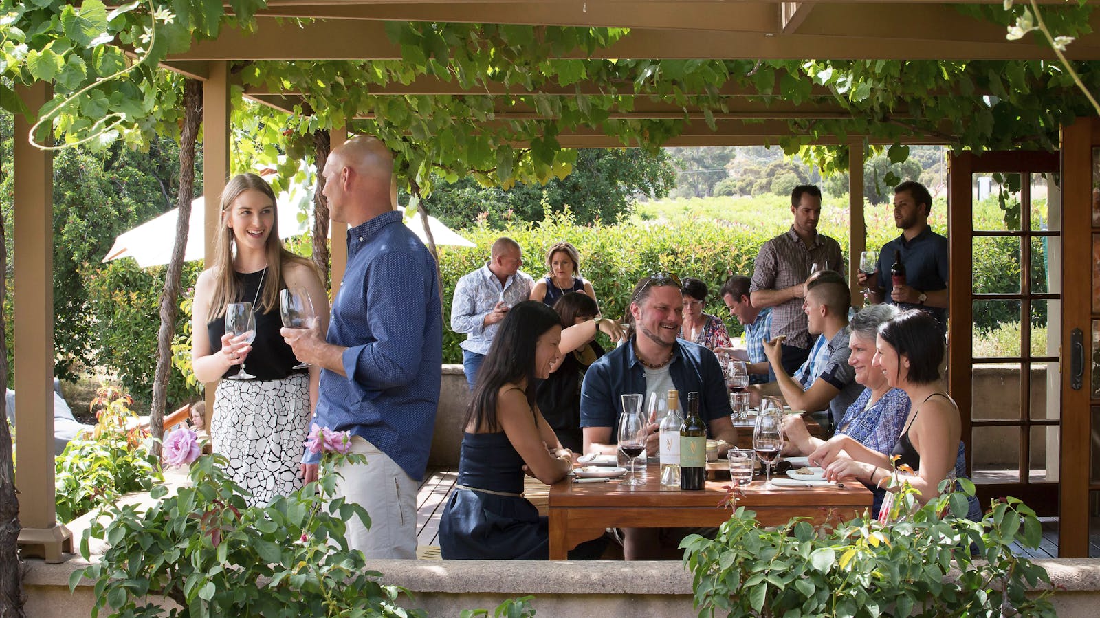 Murray Street Vineyards