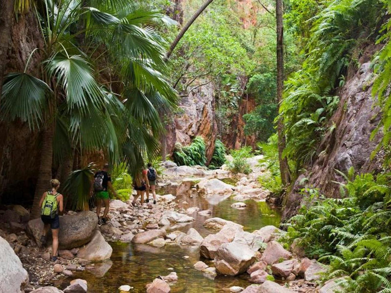 Western Australia Gorge