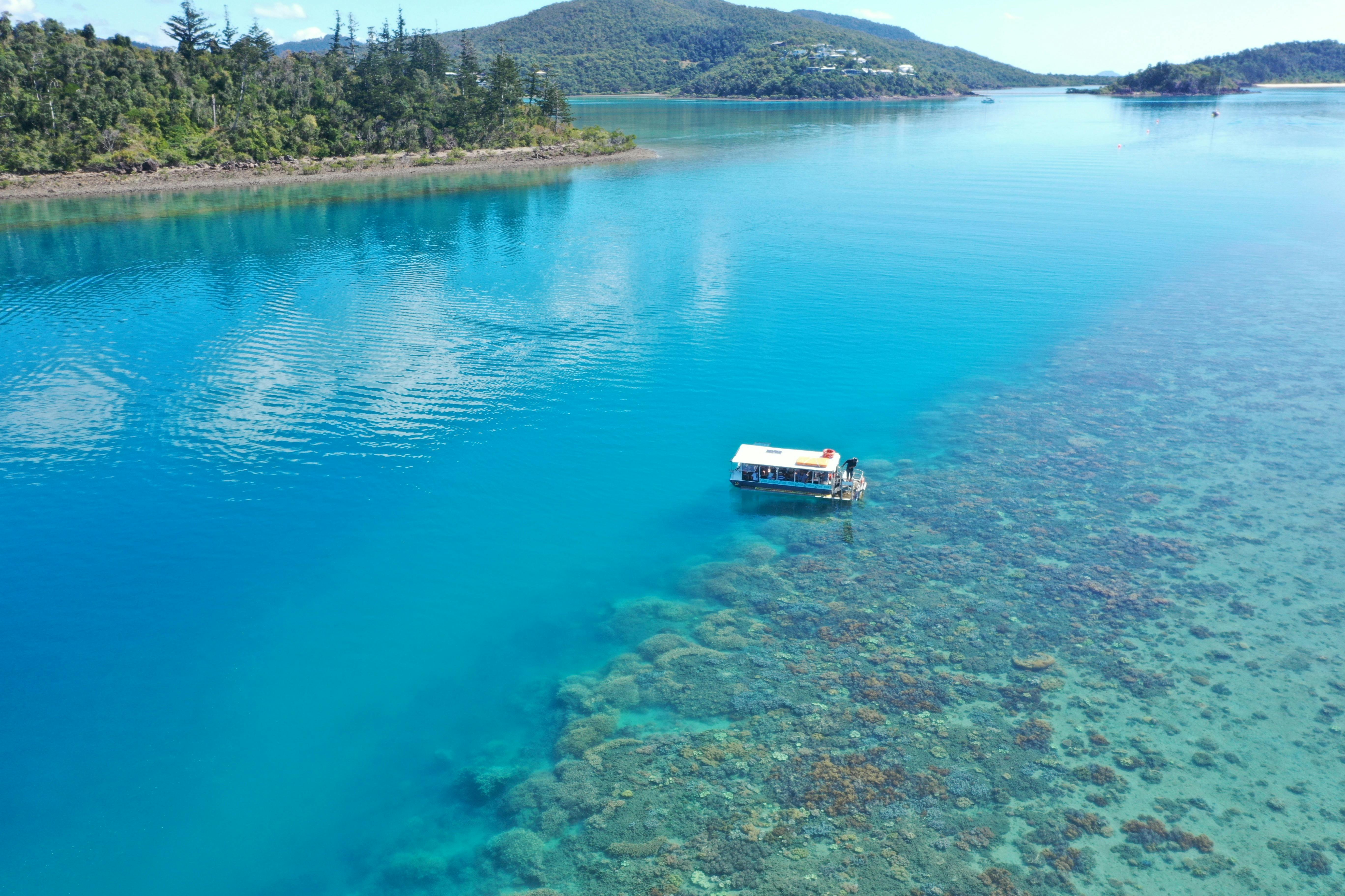 Glass Bottom Boat
