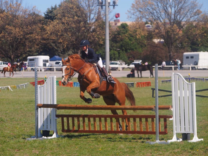 Clearing the Jump