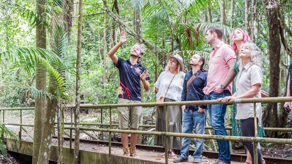 Visitors to the rainforest with a TribalLink guide