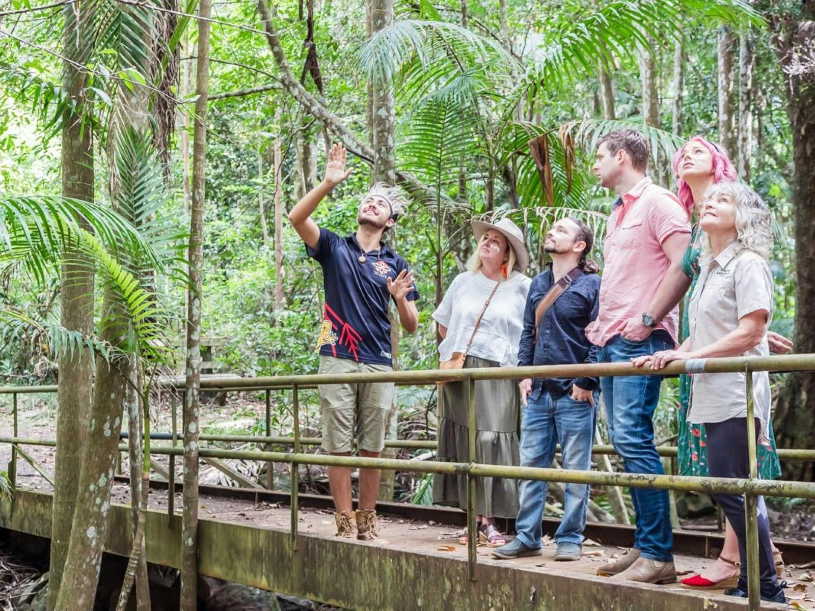 Visitors to the rainforest with a TribalLink guide