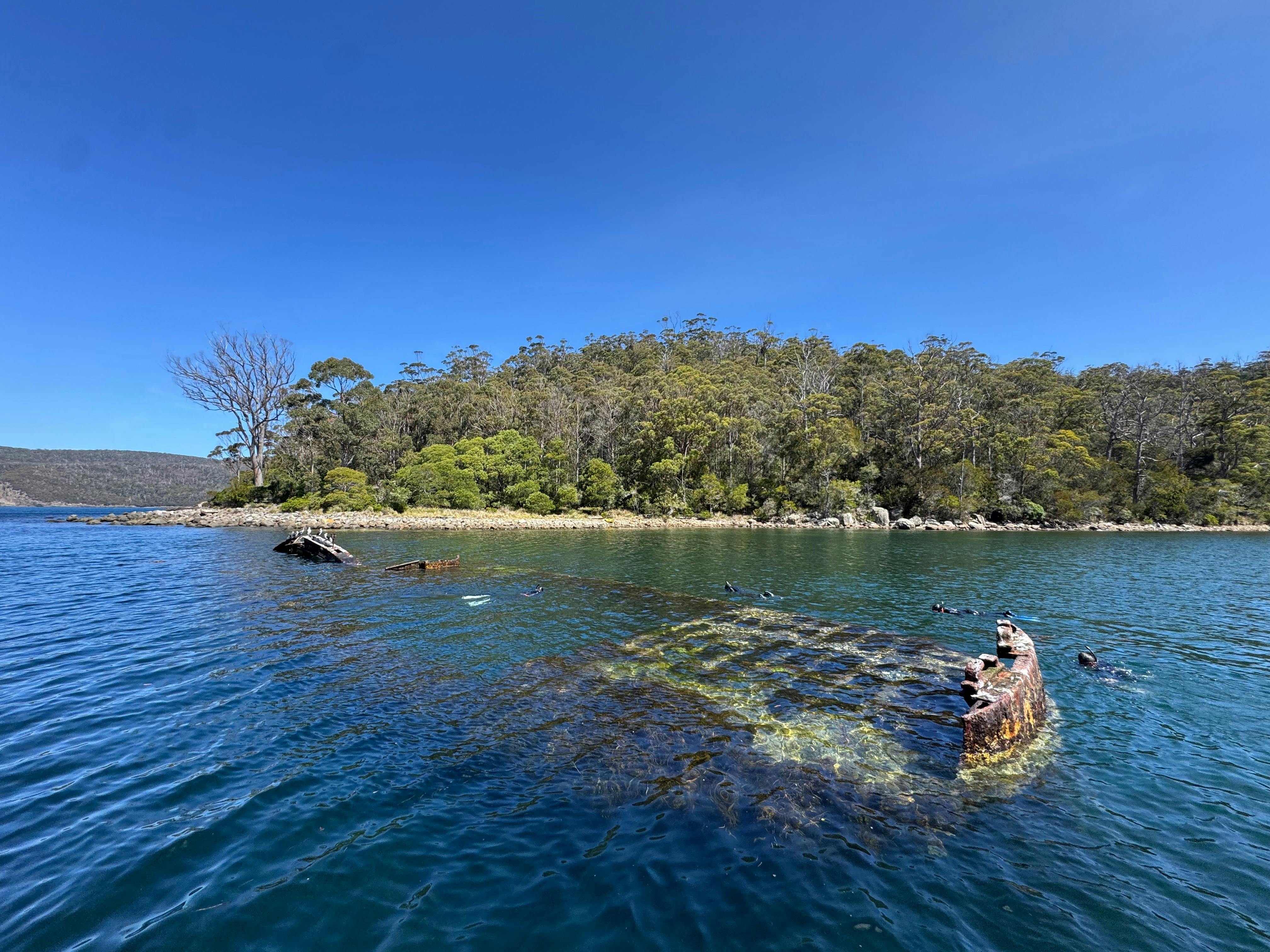 SS William Pitt - Snorkelling a shipwreck