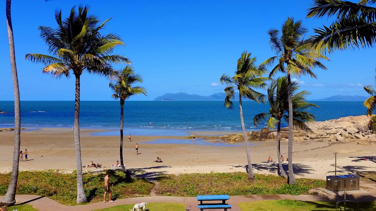 Palm fringed beach with island view