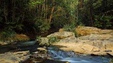 Rainforest creek cascading over rocks amongst tropical rainforest.