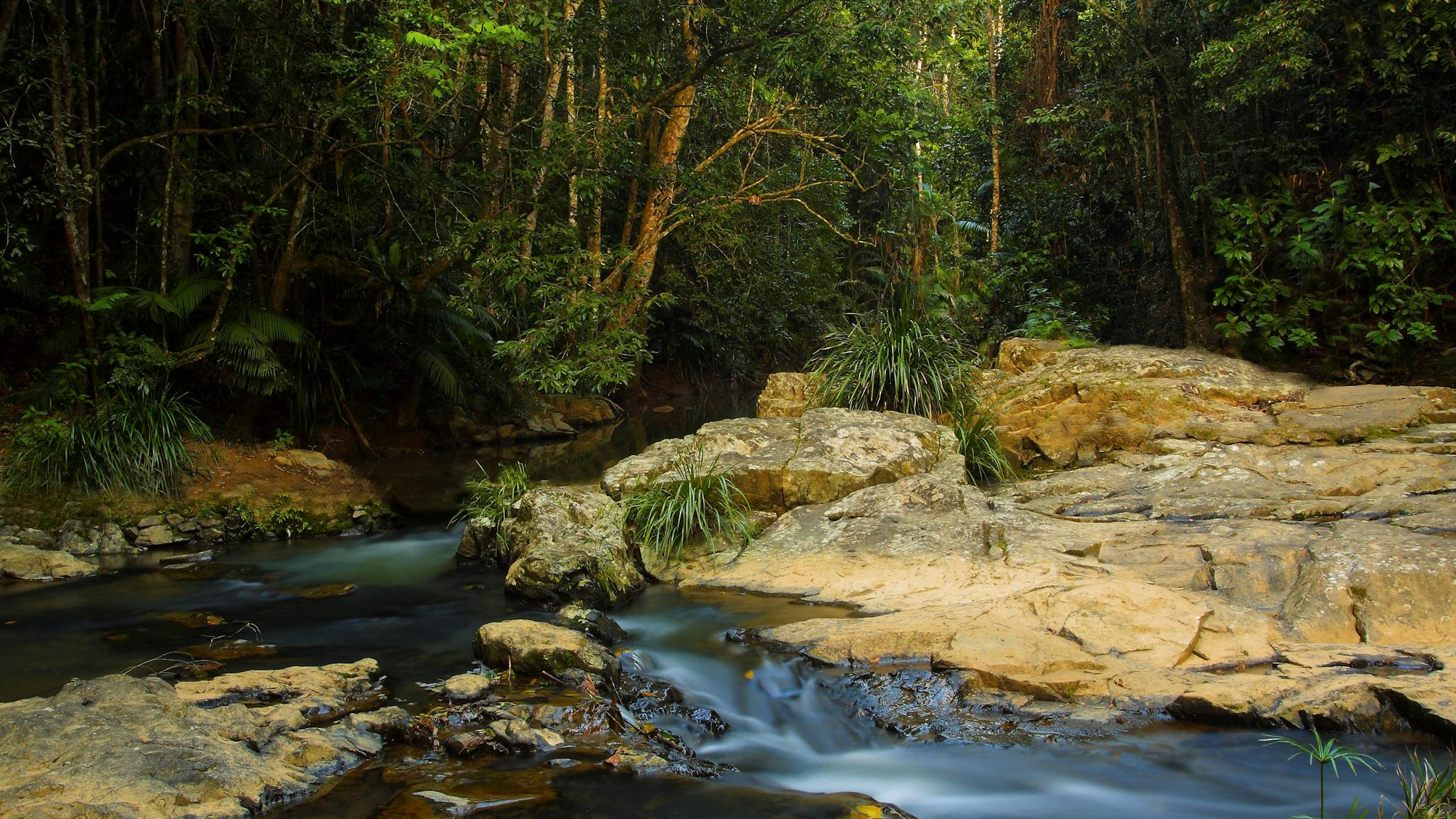 Rainforest creek cascading over rocks amongst tropical rainforest. Rainforest creek cascading over rocks amongst tropical rainforest.
