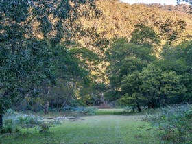 Griffins walking track