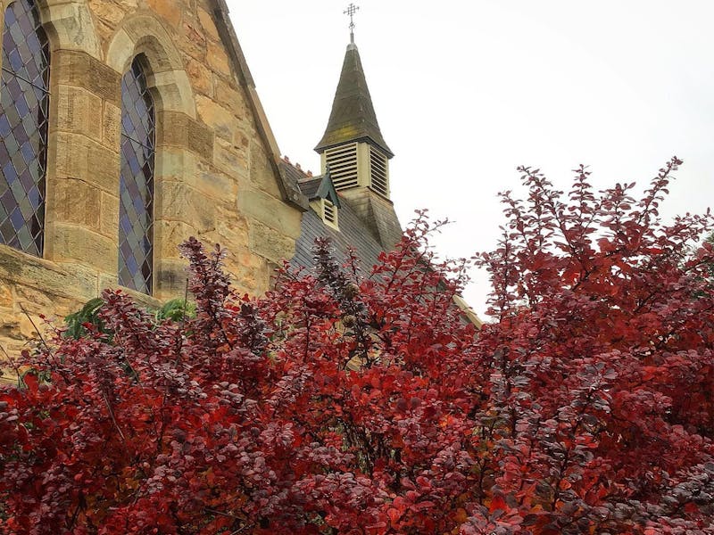 Image for Rockley Gardens and Art Festival
