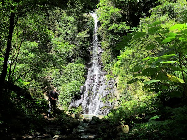 Beautiful Lamington National Park