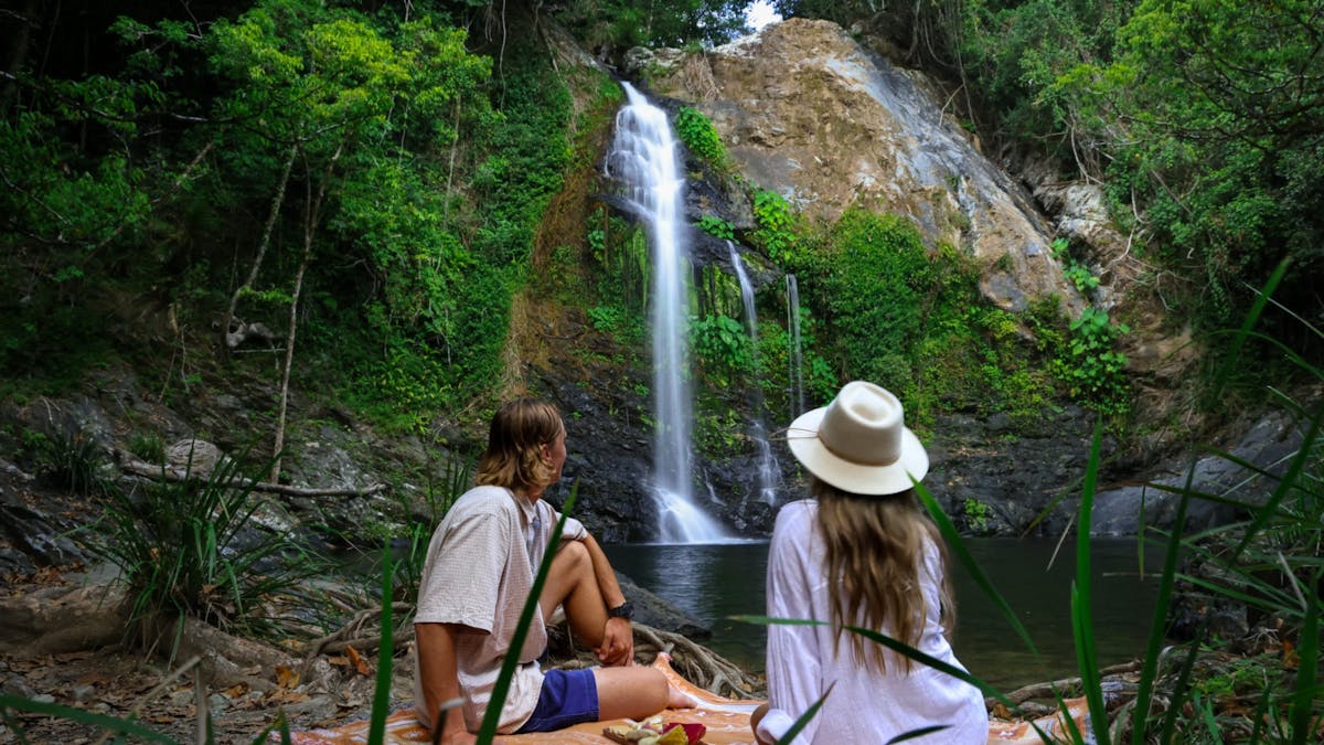 Cassowary Falls Daintree Village Cassowary Falls Daintree Village