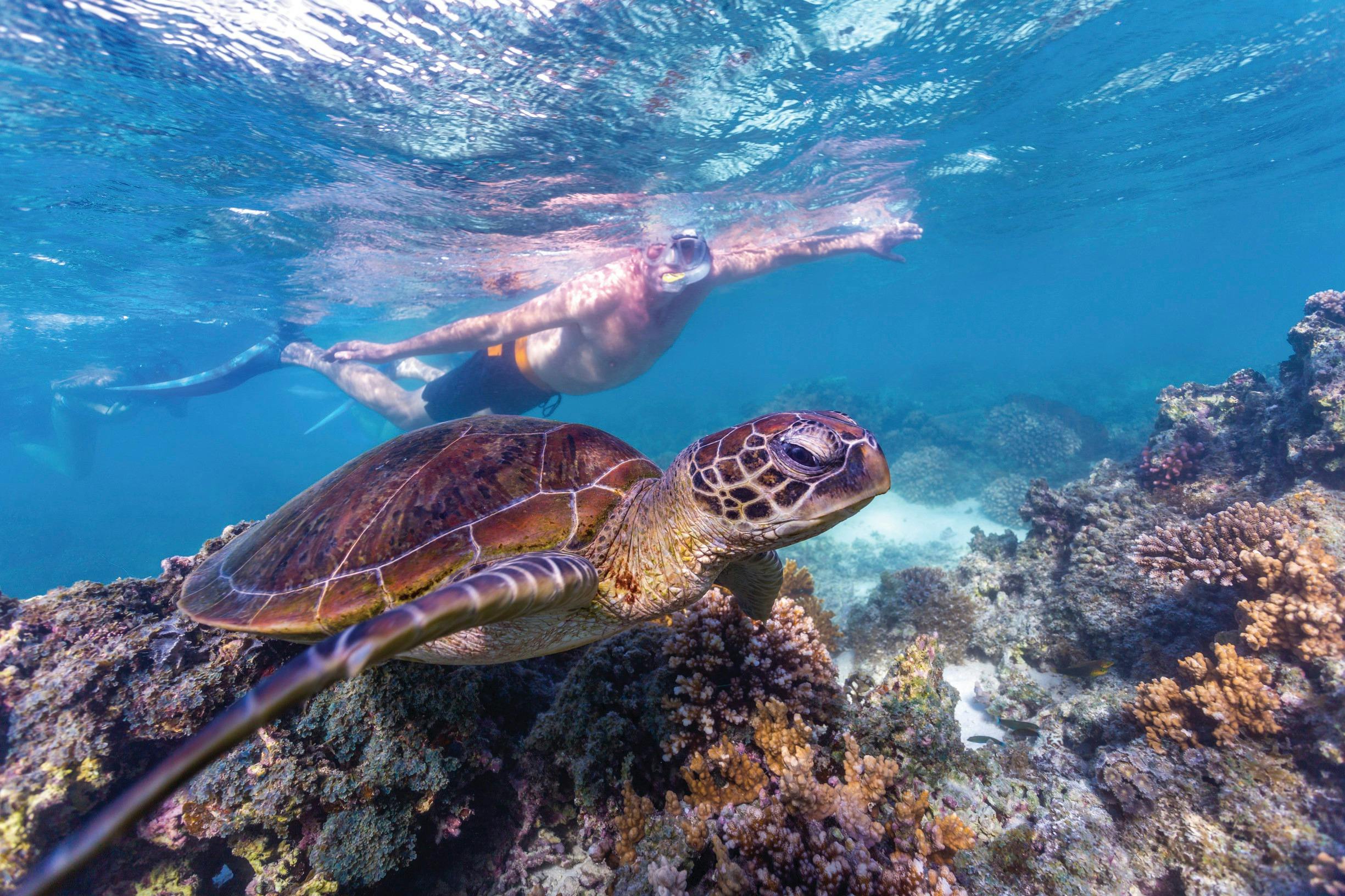 Coral Coast Wildlife, Turquoise Bay, Western Australia