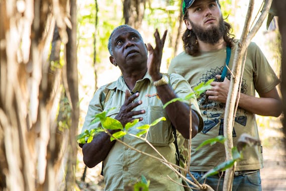 アヤルアボリジニツアーカカドゥ