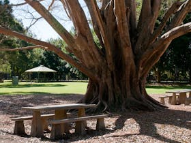 Alexander Clark Park