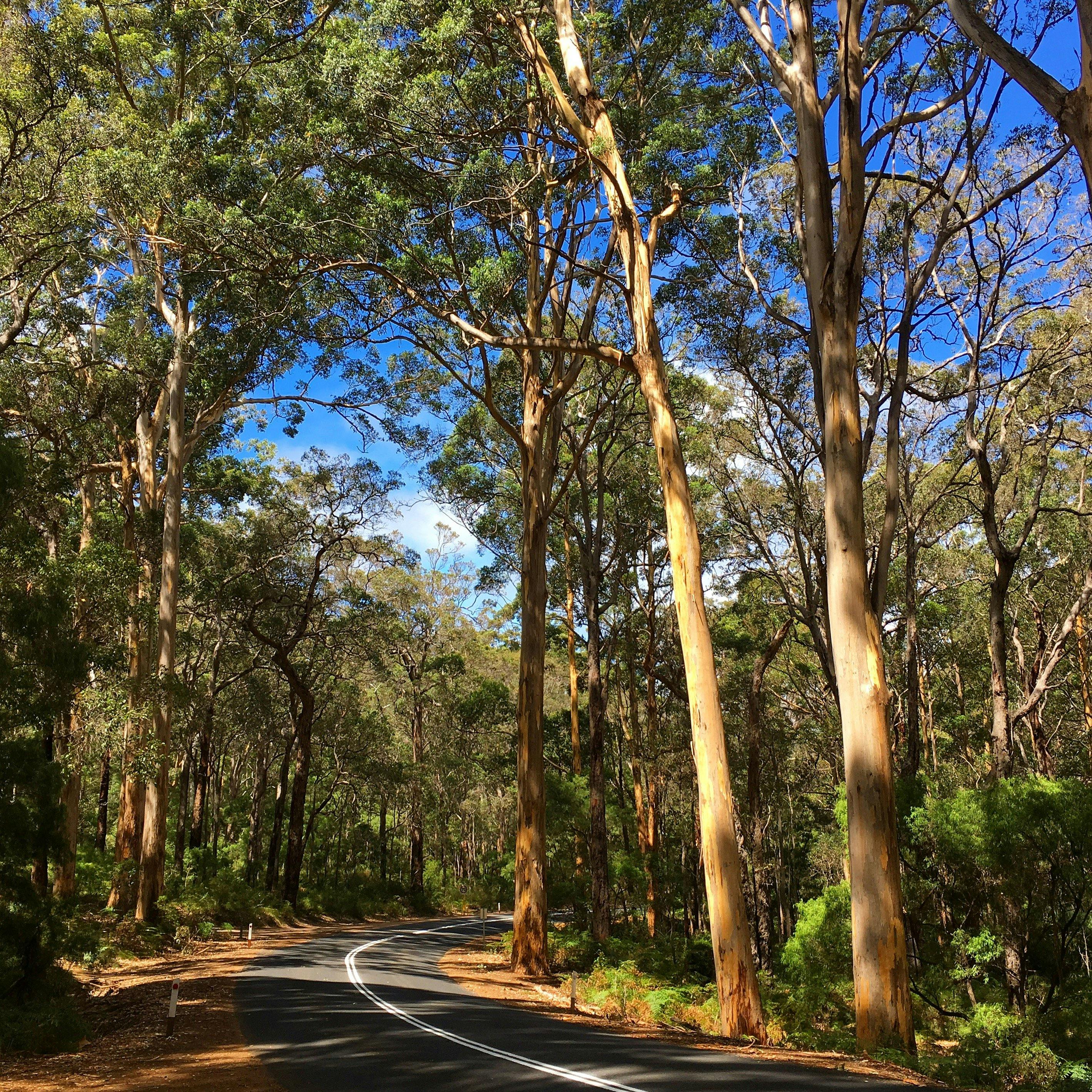 Up Close and Local Tours, Perth, Western Australia