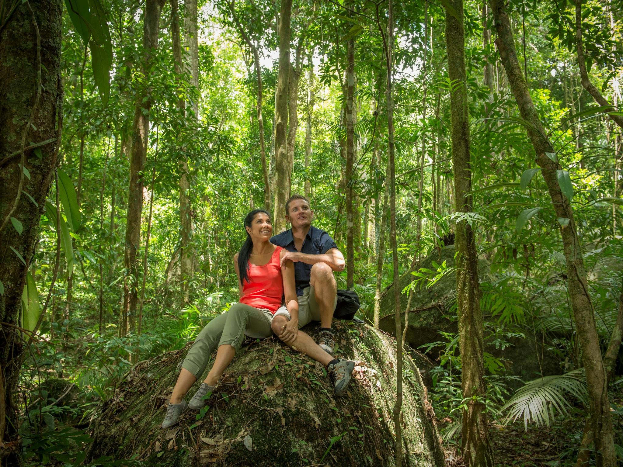 Ngadiku Dreamtime Walks Mossman Gorge Centre | Tours | Queensland