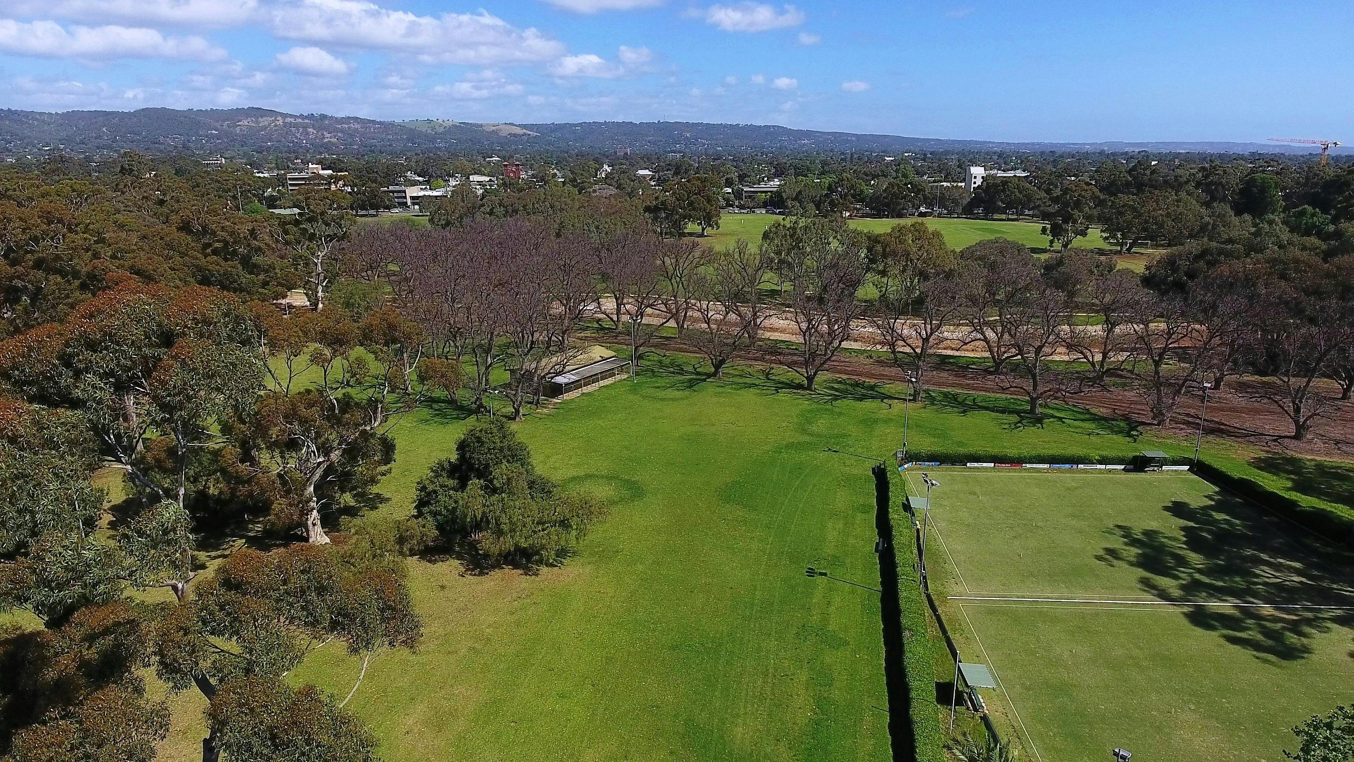 Guided Walk through Carriageway Park / Tuthangga (Park 17)
