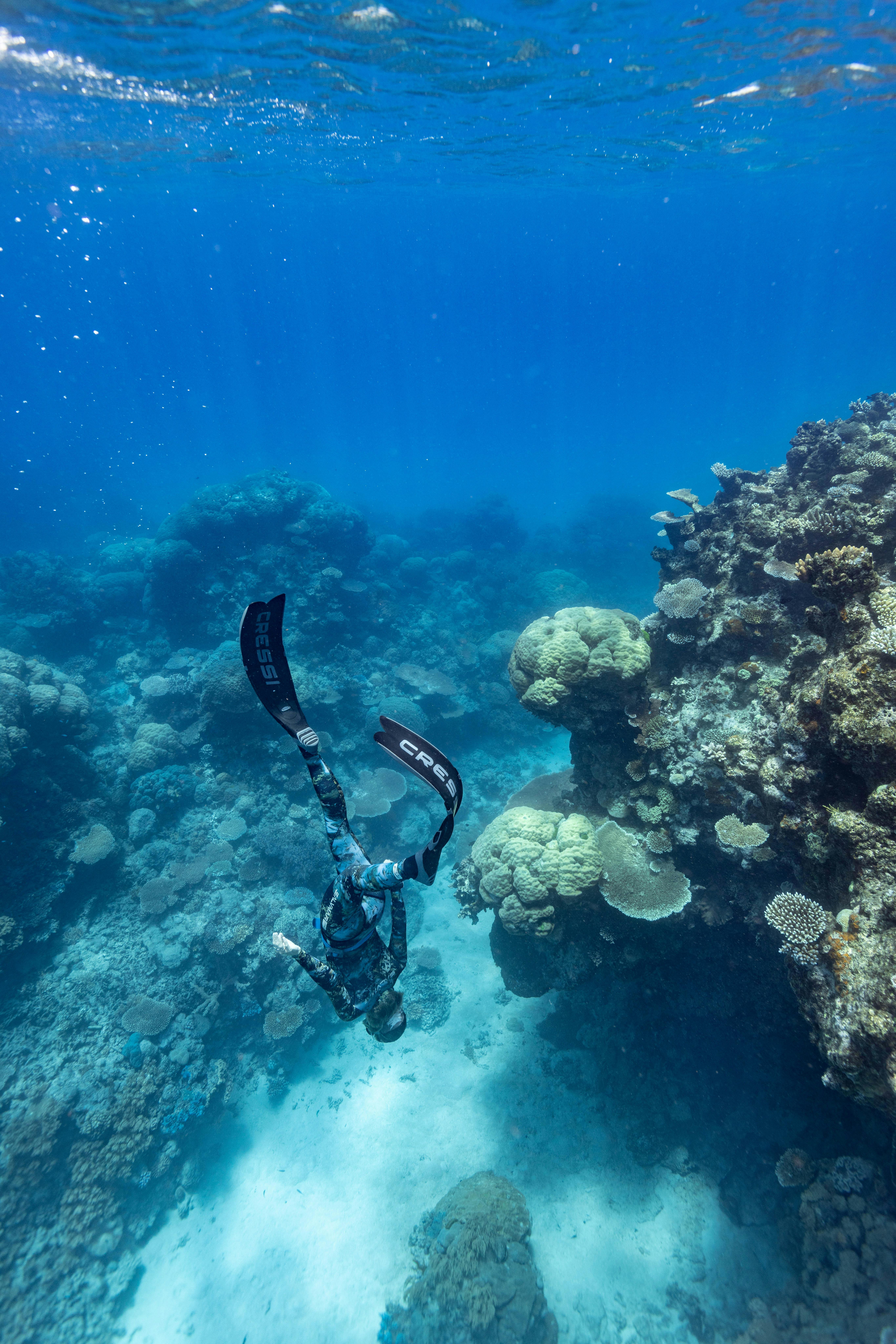 Freediver swimming downwards into the coral reef