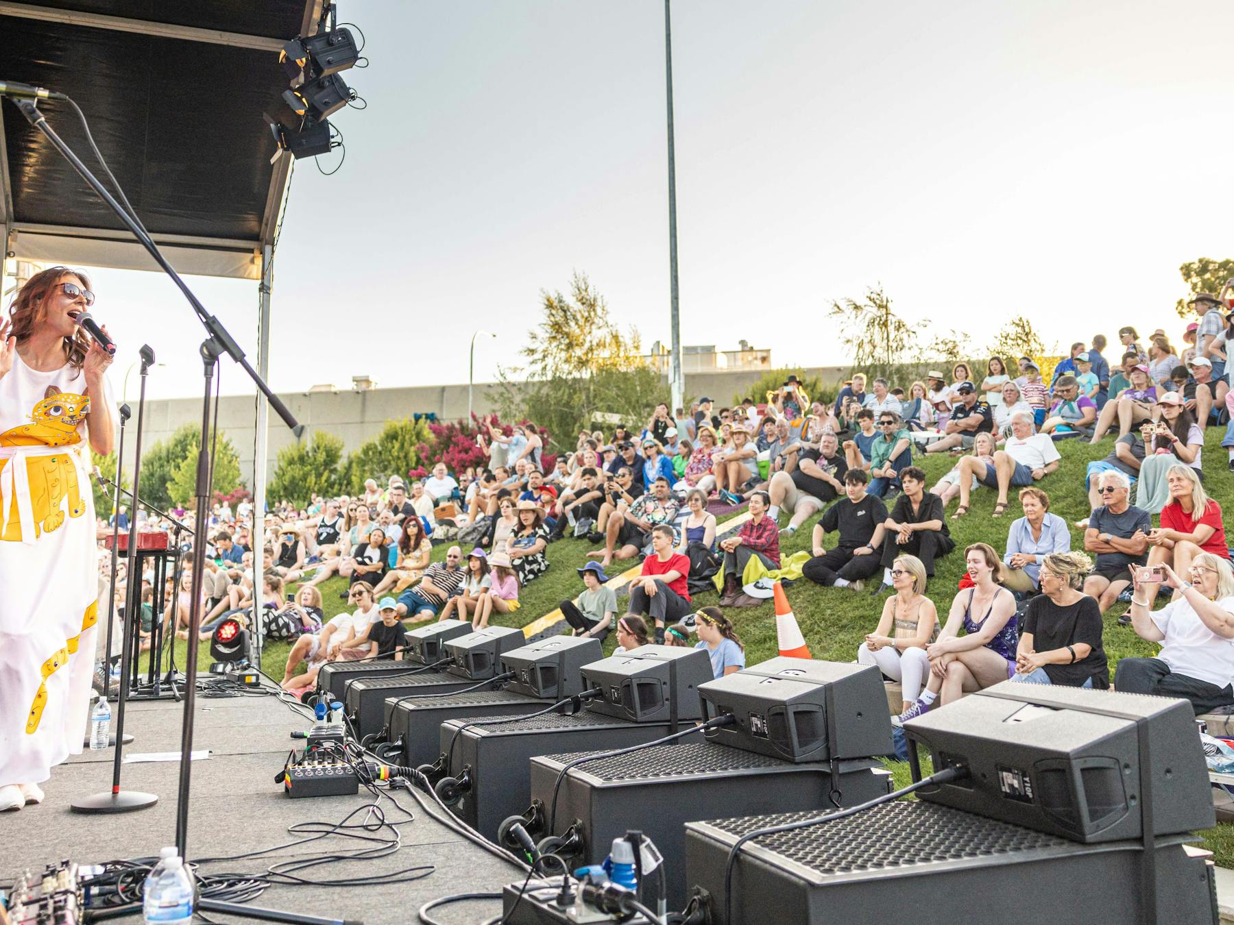 Crowd as seen from stage, 2024