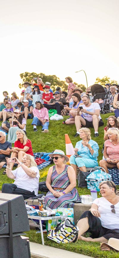Crowd as seen from stage, 2024