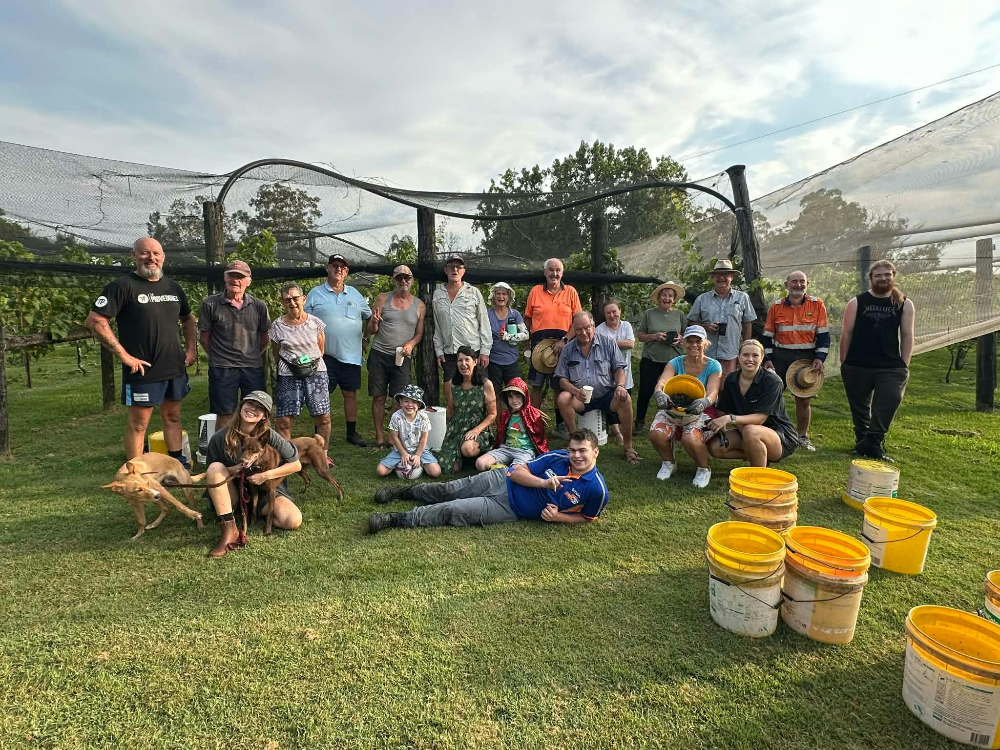 Our wonderful volunteers Harvest 2026