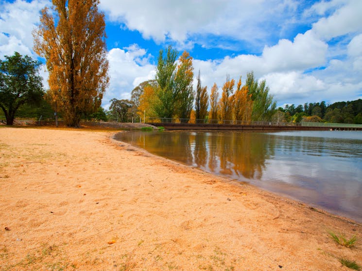 Lake Canobolas beach area