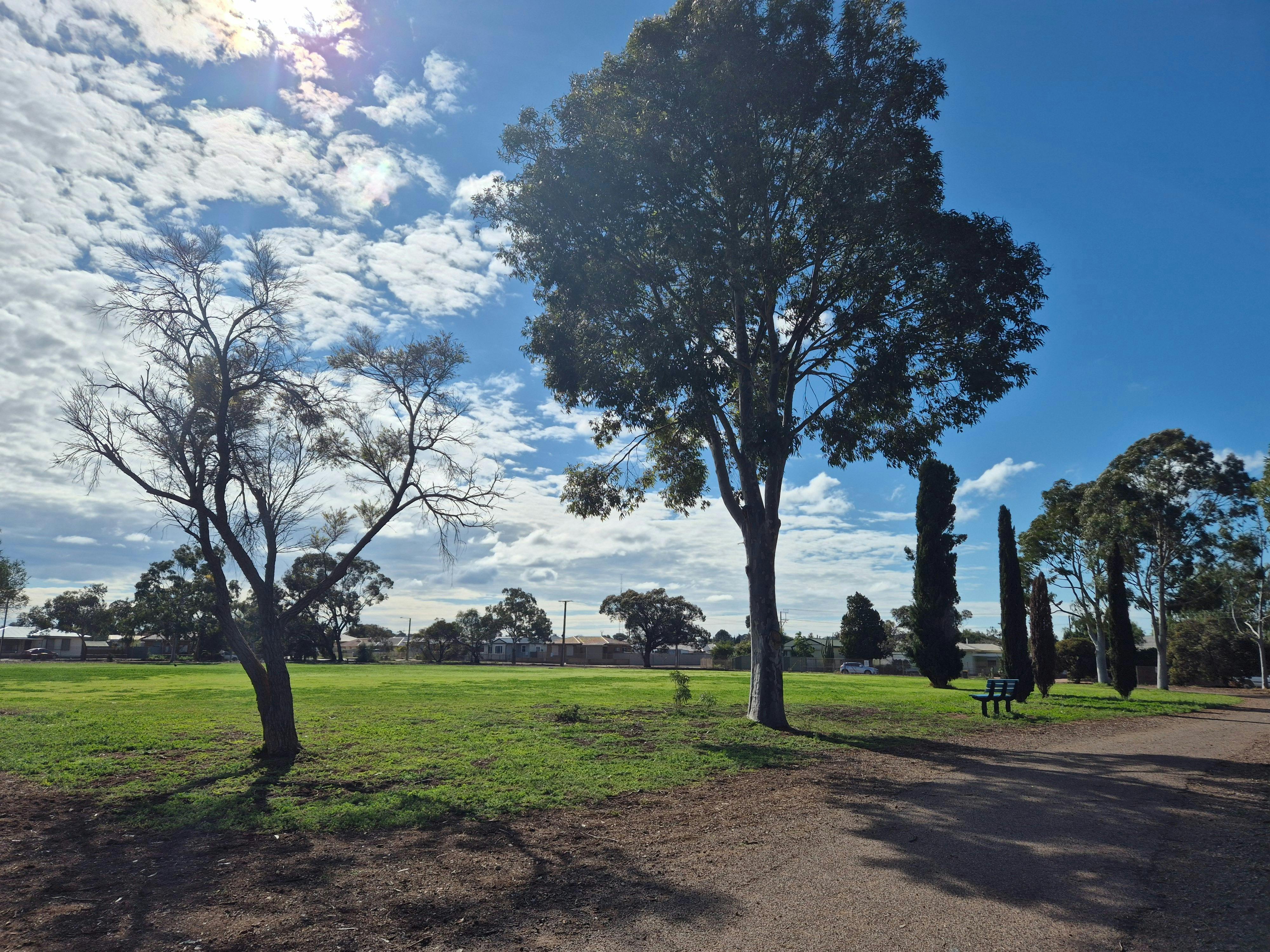 Whyalla Dog Park