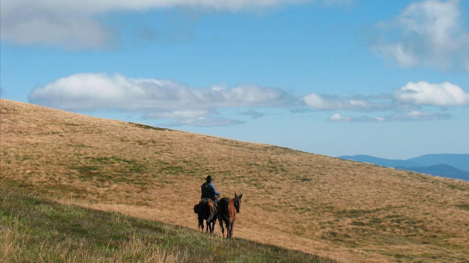 Mount Fainter