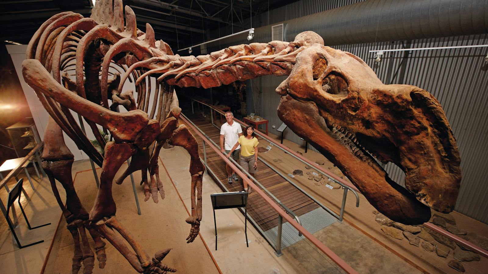 Hughie from the Flinders Discovery Centre