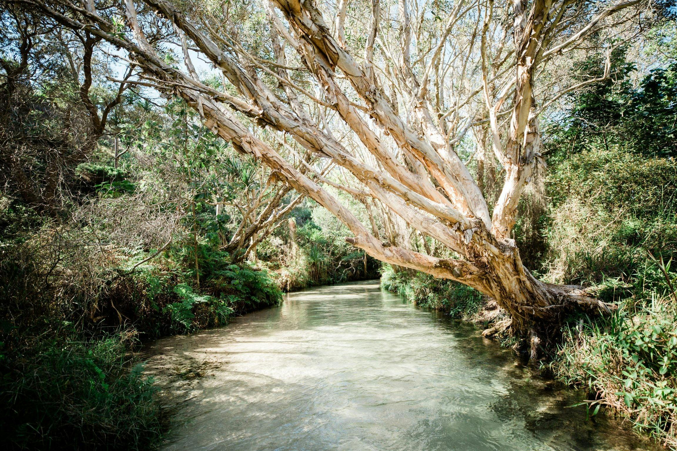 Fraser Island