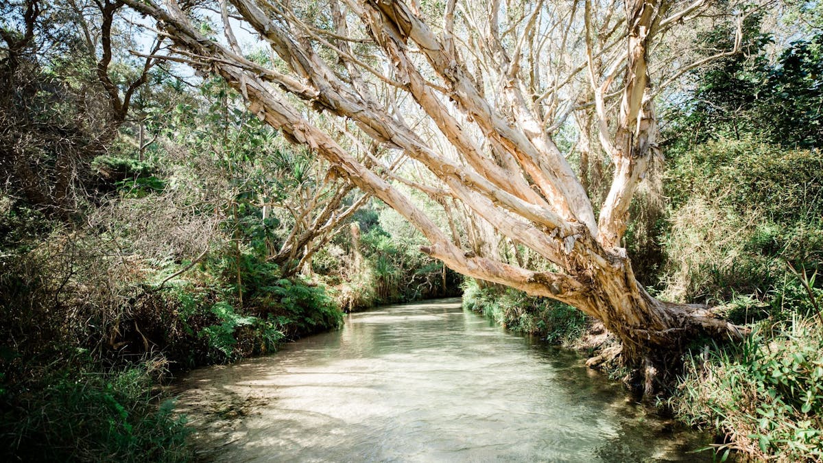 Fraser Island