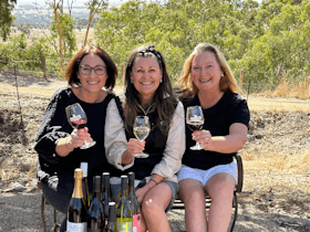 Clare Valley Gourmet | Navigating Diversity Cover Image